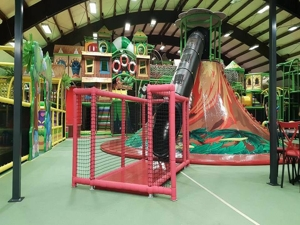 حالة نجاح فاسيا - ألمانيا