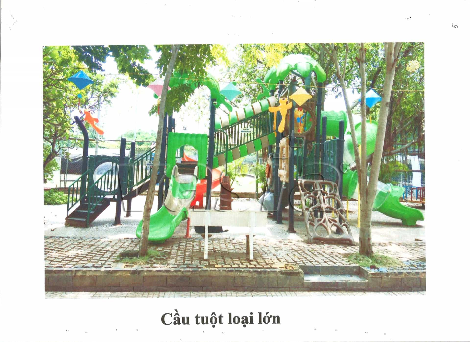 حالة ناجحة في بولندا