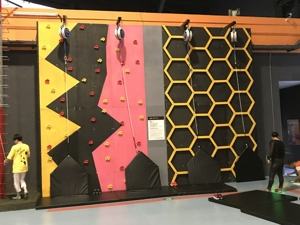 حالة تنمية الكبار نانتونغ المحلية